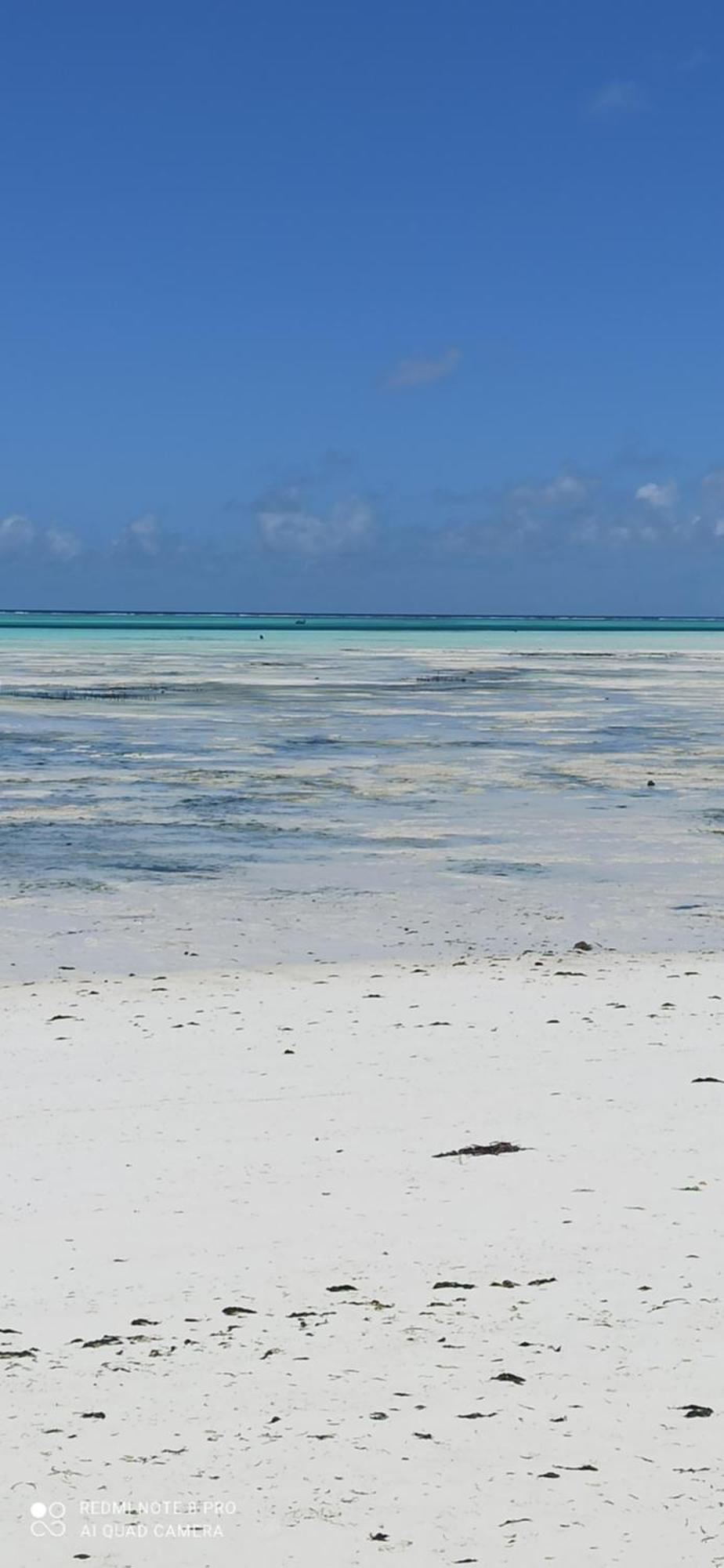 Art Hotel Zanzibar Джамбіані Екстер'єр фото